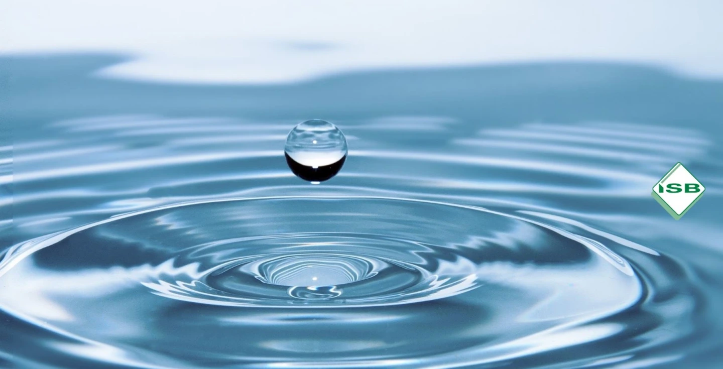 Titelbild Wasser - Unser Lebenselexir
