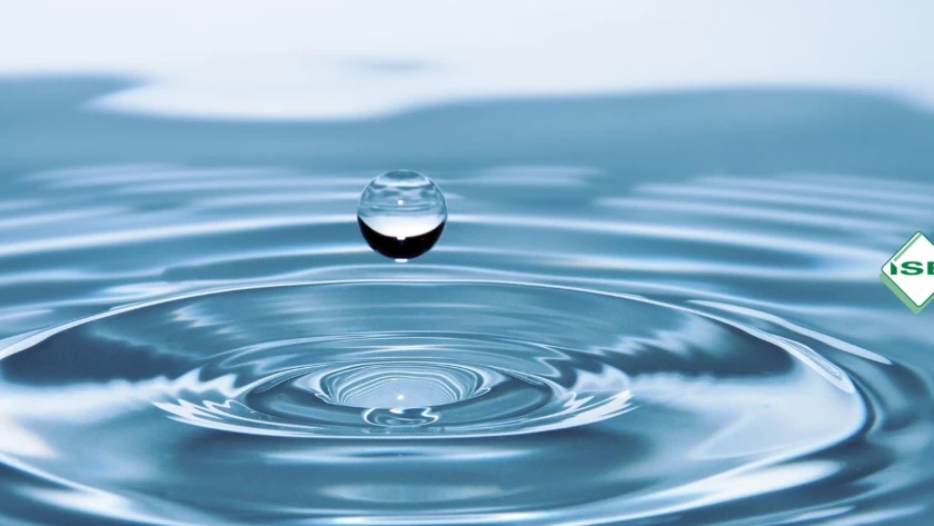 Titelbild Wasser - Unser Lebenselexir